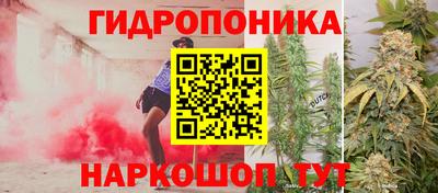 мдпв Вышний Волочёк