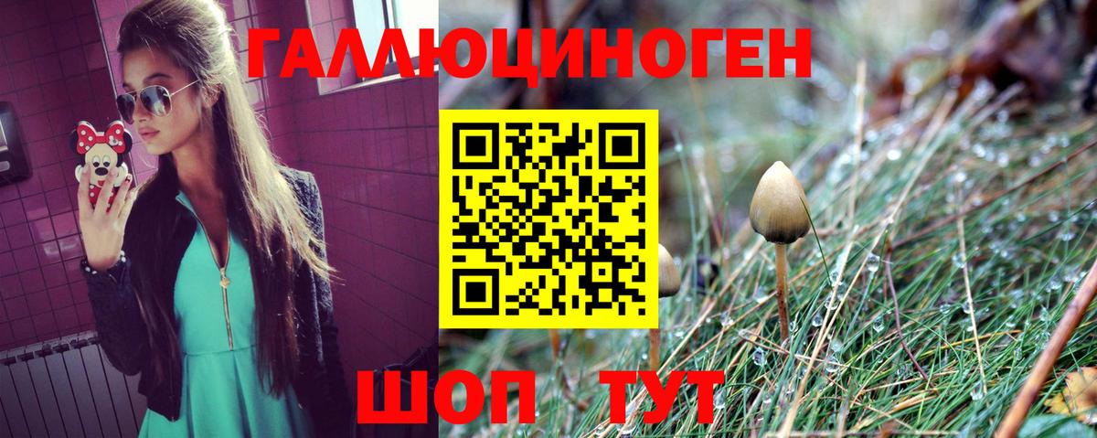 Галлюциногенные грибы мухоморы Арзамас